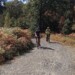 WFCC Summer Gravel Event